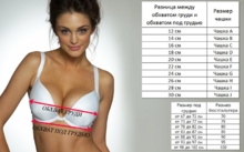 Чашка плотная : B - CUP